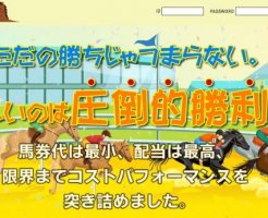 穴馬高配当は最小コストで最高の配当を夢見る！副業に最適のサイトになれるか？